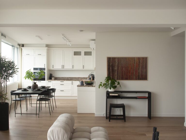 BakovicArchitects_WJD_82A_kitchen