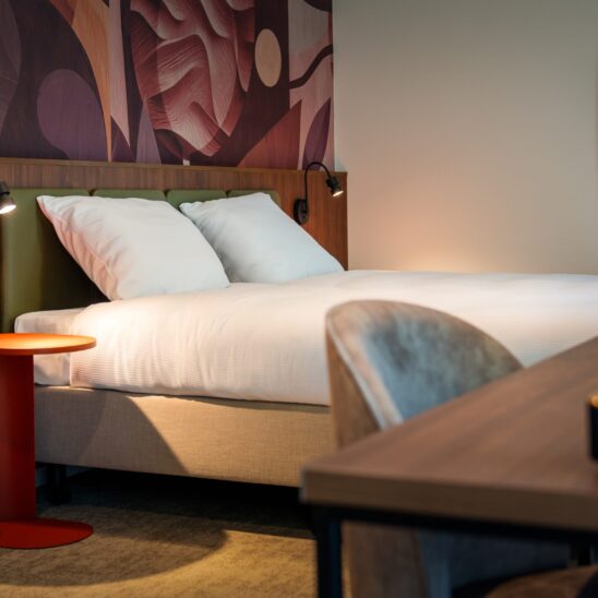 BakovicArchitects_Fletcher_Hoenderloo_Bedroom_view_01