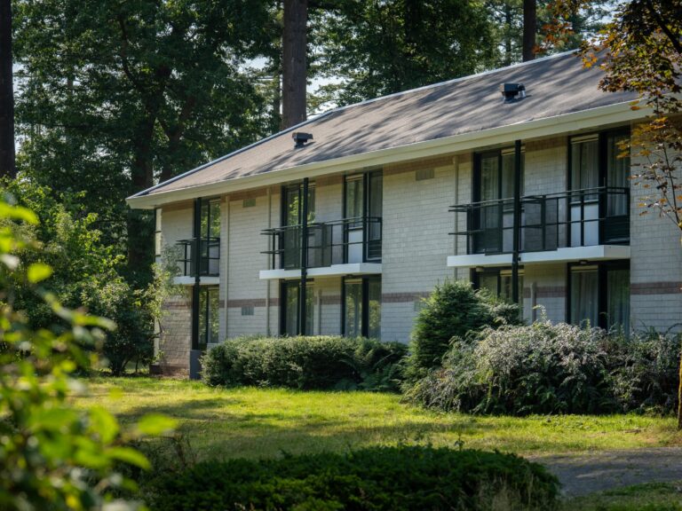 BakovicArchitects_Fletcher_Hoenderloo_Rear_facade